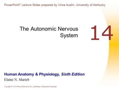 Copyright © 2004 Pearson Education, Inc., publishing as Benjamin Cummings Human Anatomy & Physiology, Sixth Edition Elaine N. Marieb PowerPoint ® Lecture.