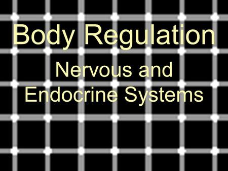 Nervous and Endocrine Systems