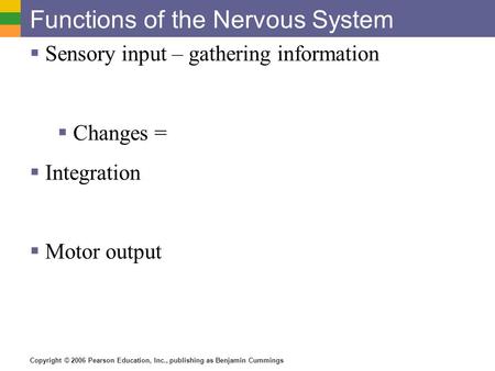 Functions of the Nervous System