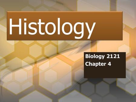 Histology Biology 2121 Chapter 4. Introduction Histology - the study of tissue Four Tissue Types –1. Epithelial –2. Connective Tissue –3. Muscle Tissue.