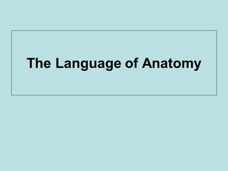 The Language of Anatomy