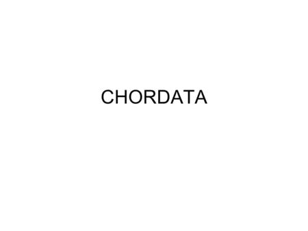 CHORDATA.