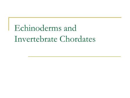 Echinoderms and Invertebrate Chordates. Phylum Echinodermata Name means spiny skin Include organisms such as  Asteroidea sea stars  sea urchins, sand.