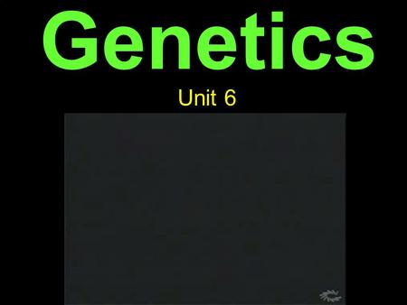 Genetics Unit 6.