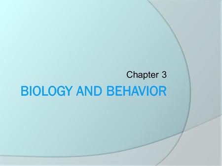 Chapter 3. The Nervous System  Two main parts Central Nervous System: the brain and the spinal cord Peripheral Nervous System: contains nerve cells;