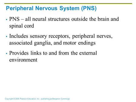 Peripheral Nervous System (PNS)