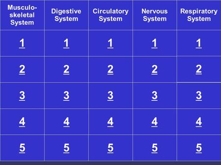 3 Musculo- skeletal System Digestive System Circulatory System Nervous System Respiratory System 11111 2222 2 3333 4444 55555 4.