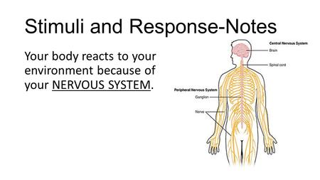 Stimuli and Response-Notes