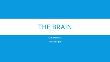 THE BRAIN Mrs. Martinez Psychology I. CENTRAL NERVOUS SYSTEM A.Brain B.Spinal Cord a.Spinal Reflexes- simple automatic responses to something.