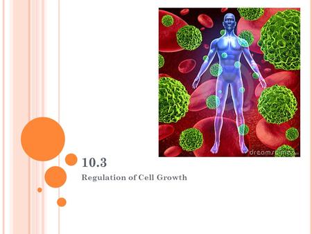 Regulation of Cell Growth