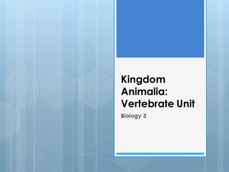 Kingdom Animalia: Vertebrate Unit Biology 3. Phylum Chordata  52,600+ species  Fishes  Amphibians  Reptiles  Aves  Mammals.