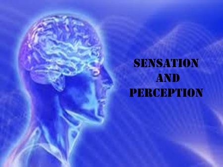 Sensation and Perception