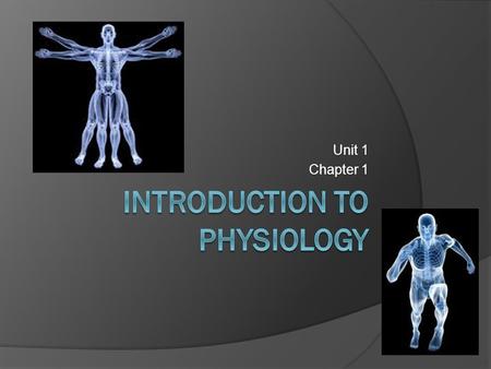 Introduction to Physiology