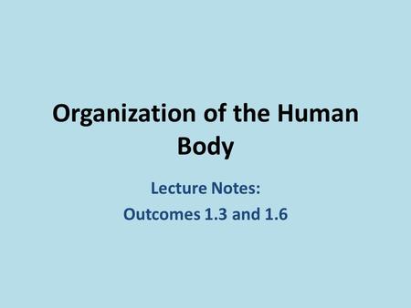 Organization of the Human Body