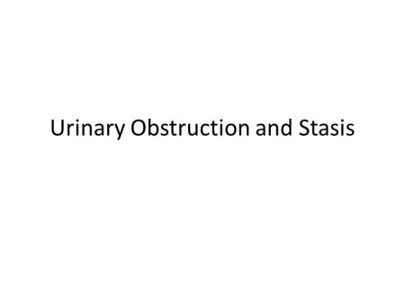 Urinary Obstruction and Stasis