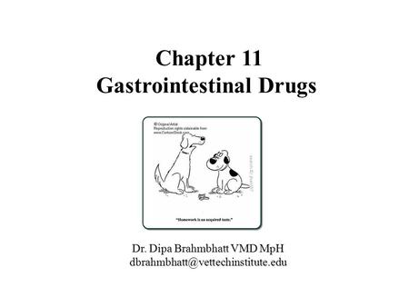 Chapter 11 Gastrointestinal Drugs Dr. Dipa Brahmbhatt VMD MpH