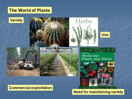 The World of Plants Variety Use Commercial exploitation Need for maintaining variety.