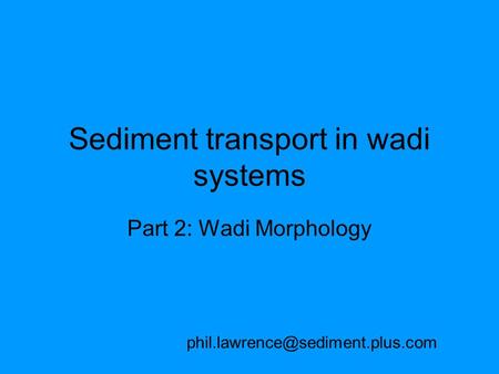 Sediment transport in wadi systems