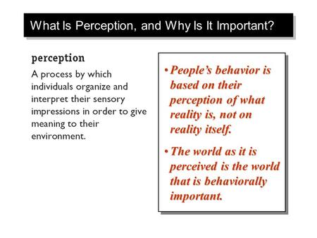 What Is Perception, and Why Is It Important?