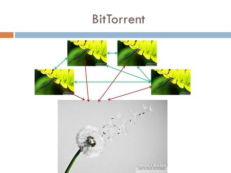 BitTorrent. BitTorrent network  On the itinerary:  Introduction to BitTorrent  Basics & properties  3 Interesting analysis results.