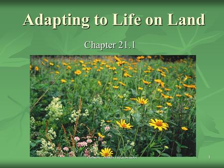 Adapting to Life on Land