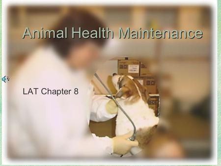 Animal Health Maintenance