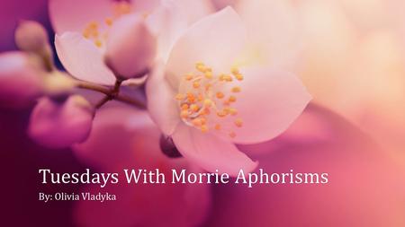 Tuesdays With Morrie Aphorisms