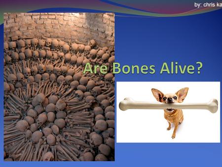 Are Bones Alive? by: chris kazun