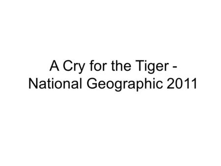 A Cry for the Tiger - National Geographic 2011. A tiger peers at a camera trap it triggered while hunting in the early morning in the forests of northern.