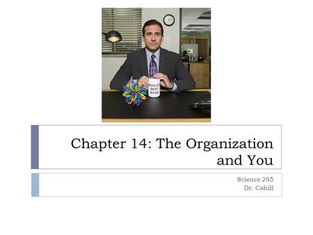 Chapter 14: The Organization and You Science 295 Dr. Cahill.