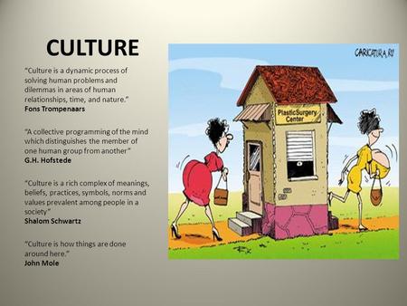 CULTURE “Culture is a dynamic process of solving human problems and dilemmas in areas of human relationships, time, and nature.” Fons Trompenaars “A collective.