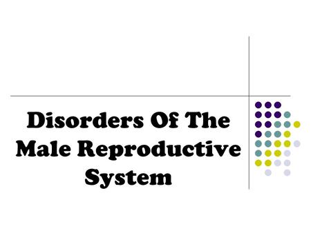 Disorders Of The Male Reproductive System. Testicular Torsion Spermatic cord twists Males whose attachment is higher up are at risk of testicular torsion.