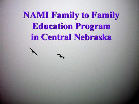 NAMI Family to Family Education Program in Central Nebraska.