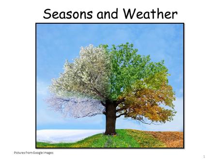 Seasons and Weather Pictures from Google Images.