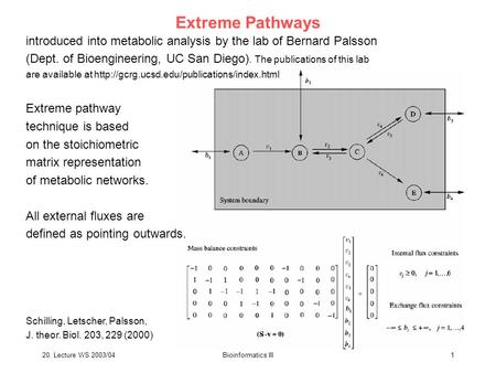 Extreme Pathways introduced into metabolic analysis by the lab of Bernard Palsson (Dept. of Bioengineering, UC San Diego). The publications of this lab.