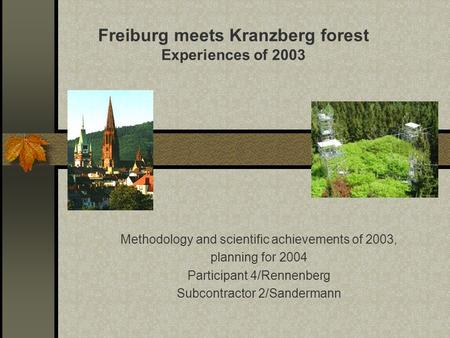 Methodology and scientific achievements of 2003, planning for 2004 Participant 4/Rennenberg Subcontractor 2/Sandermann Freiburg meets Kranzberg forest.