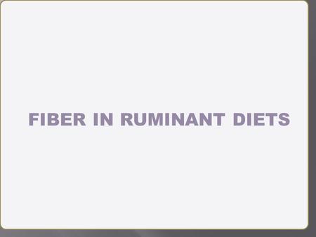 FIBER IN RUMINANT DIETS