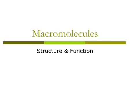 Macromolecules Structure & Function.