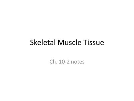 Skeletal Muscle Tissue