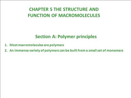 CHAPTER 5 THE STRUCTURE AND FUNCTION OF MACROMOLECULES