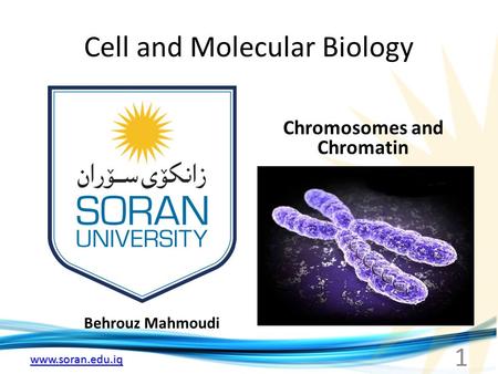 Cell and Molecular Biology