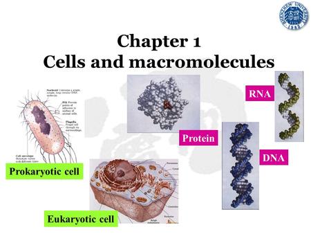 Chapter 1 Cells and macromolecules