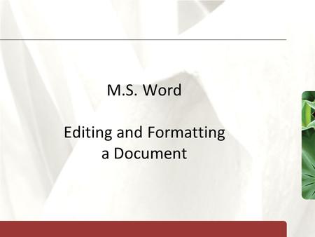 XP M.S. Word Editing and Formatting a Document. XP New Perspectives on Microsoft Office 2007: Windows XP Edition2 Objectives Check spelling and grammar.