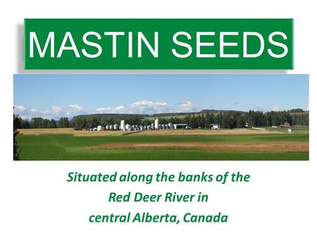 MASTIN SEEDS Situated along the banks of the Red Deer River in central Alberta, Canada.