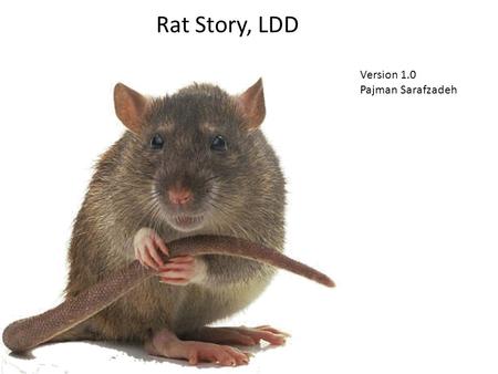 Rat Story, LDD Version 1.0 Pajman Sarafzadeh. Features 3 separate environments -1) Step by step tutorial -2) Traversal -3) Water adventure Introduction.