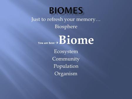 Just to refresh your memory… Biosphere You are here  Biome Ecosystem Community Population Organism.