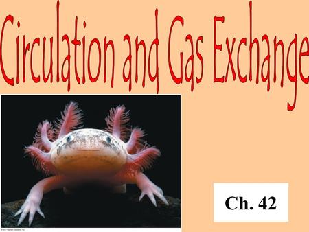 Circulation and Gas Exchange