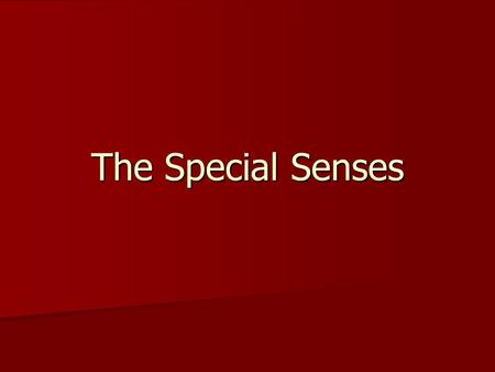 The Special Senses. 1. Acrohyperhidrosis means a(n) A. Condition of excessive water of the extremities B. Excessive sweating of the extremities C. Inflammation.