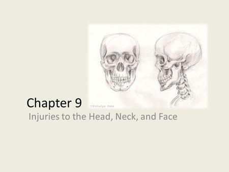 Injuries to the Head, Neck, and Face