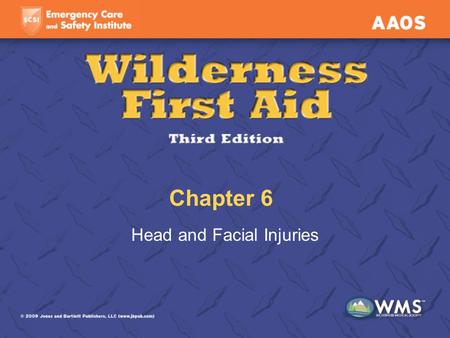 Head and Facial Injuries